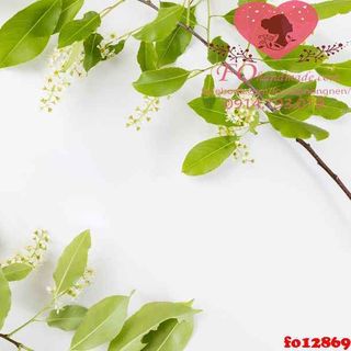 Vải phông nền hoa lá fo12869