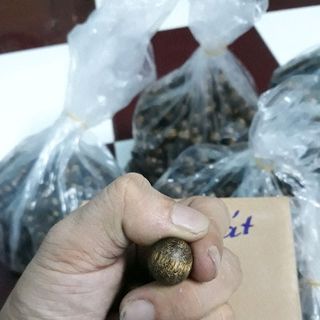 TRẦM HƯƠNG GIÓ DẦU RIN 60K