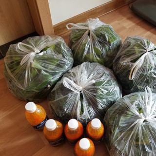 Bánh bột lọc huế