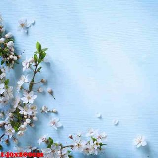 Vải phông nền hoa lá Fo11777