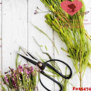 Vải phông nền hoa lá Fo15474