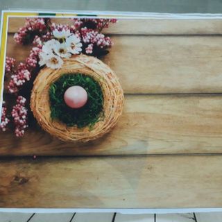 Vải phông nền hoa lá FO7245