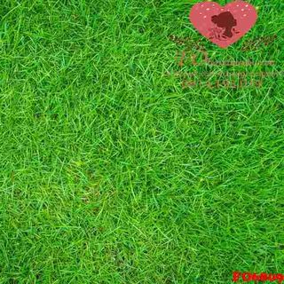 Vải phông nền hoa lá FO6809