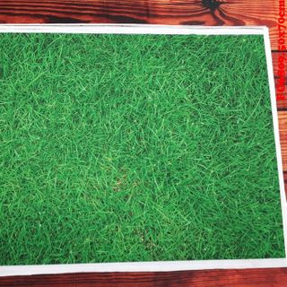 Vải phông nền hoa lá FO6809