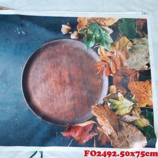 Vải phông nền thực phẩm FO2492