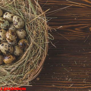 Vải phông nền thực phẩm FO7669