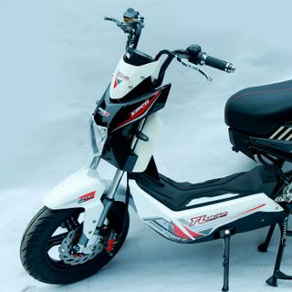 XE ĐIỆN THÀNH LỢI TLBIKE XMEN PRO 9