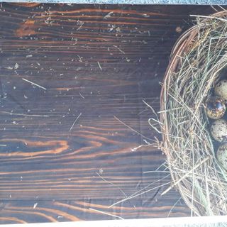 Vải phông nền thực phẩm FO7669