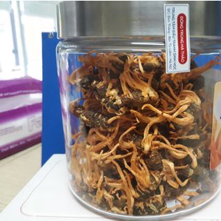 Đông trùng hạ thảo tươi đông trùng hạ thảo khô được viện bảo vệ thực vật nuôi trồng