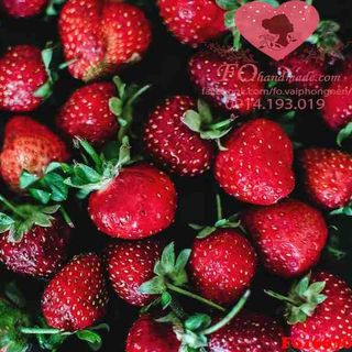 Vải phông nền thực phẩm Fo16670