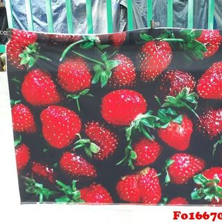 Vải phông nền thực phẩm Fo16670