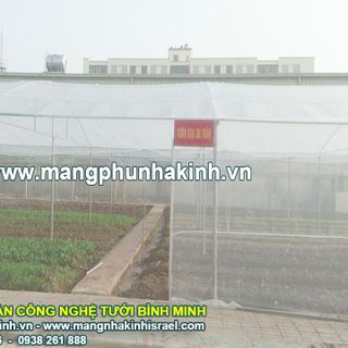 Báo giá lưới trồng rau sạch các mô hình nhà lưới trồng rau hiện nay cach làm nhà lưới đơn giản