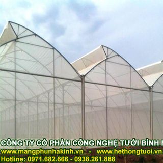 Báo giá lưới trồng rau sạch các mô hình nhà lưới trồng rau hiện nay cach làm nhà lưới đơn giản