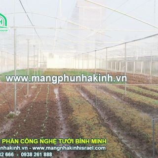 Báo giá lưới trồng rau sạch các mô hình nhà lưới trồng rau hiện nay cach làm nhà lưới đơn giản