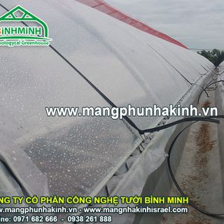 Báo giá lưới trồng rau sạch các mô hình nhà lưới trồng rau hiện nay cach làm nhà lưới đơn giản