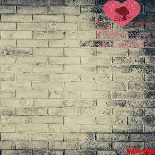 Vải phông nền trơn FO6786