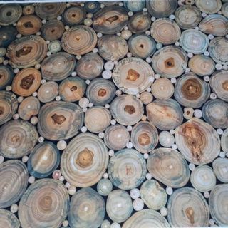 Vải phông nền trơn FO6792