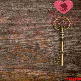 Vải phông nền trơn FO4388