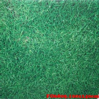 Vải phông nền trơn FO6809