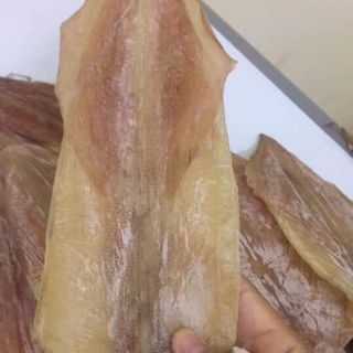 Mực dẻomực 1 nắng