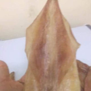 Mực 1 nắng
