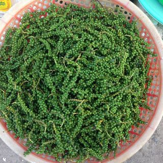 Hồ tiêu Đen - Xanh nhà vườn