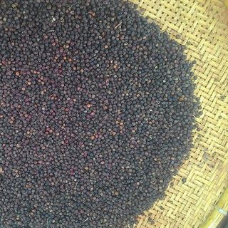 Hồ tiêu Đen - Xanh nhà vườn