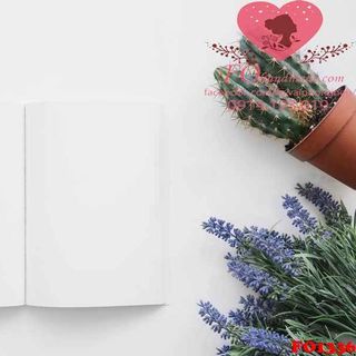 Vải phông nền phụ kiện FO1336