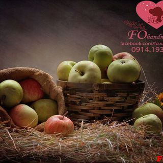 Vải phông nền thực phẩm FO10187