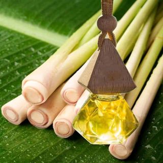 Tinh dầu sả chanh treo xe treo phòng đuổi ruồi muỗi kiến