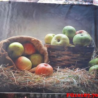 Vải phông nền thực phẩm FO10187