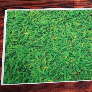 Vải phông nền trơn FO1197