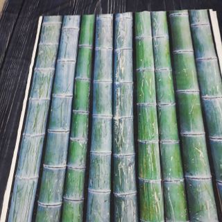 Vải phông nền trơn FO5920