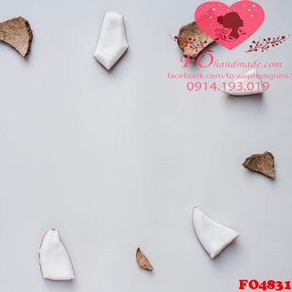 Vải phông nền thực phẩm FO4831