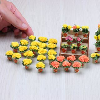 Bộ Kit Xuân Và Kệ Gỗ