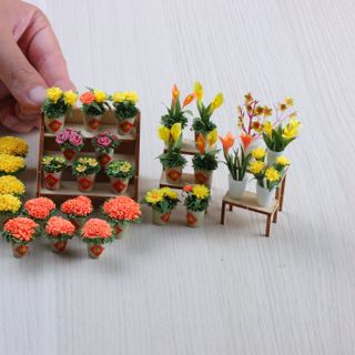 Bộ Kit Xuân Và Kệ Gỗ