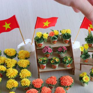 Bộ Kit Xuân Và Kệ Gỗ