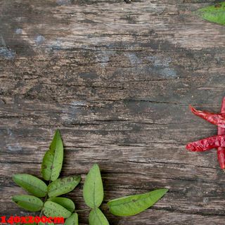 Vải phông nền thực phẩm FO2971