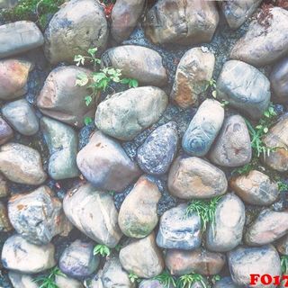 Vải phông nền trơn FO1777