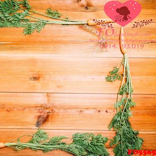 Vải phông nền thực phẩm FO5565