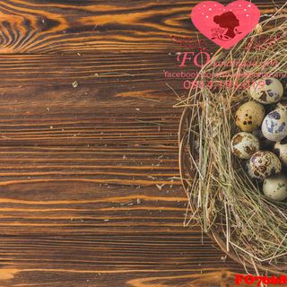 Vải phông nền thực phẩm FO7668