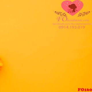 Vải phông nền thực phẩm FO160