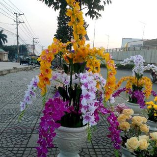 hoa lan vải lụa