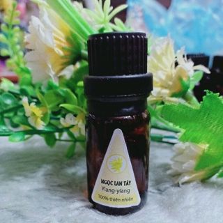 Tinh dầu ngọc lan tây thơm mát thư giãn lọ 10ml
