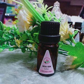 Tinh dầu hoa sen lọ xông 10ml - miễn phí ship toàn quốc