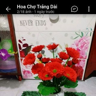 hoa đồn tiền vải lụa