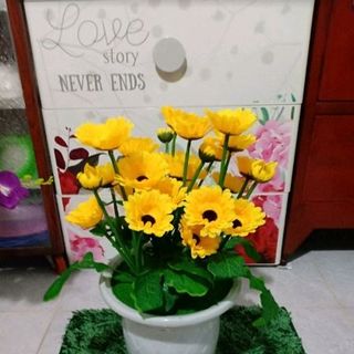 hoa đồn tiền vải lụa