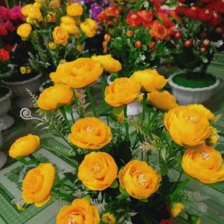 hoa hồng vải lụa