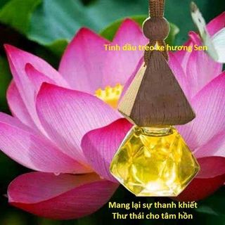 Tinh dầu treo hoa sen