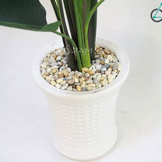 Chậu cây chuối giả cao 2m số 71